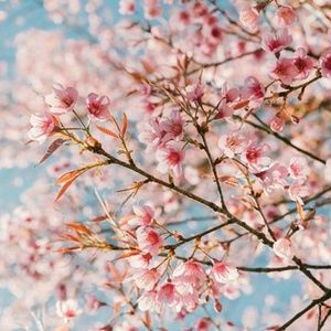 Meet your Posher, Cristina